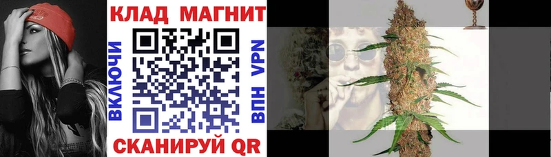 LSD-25 Рошаль