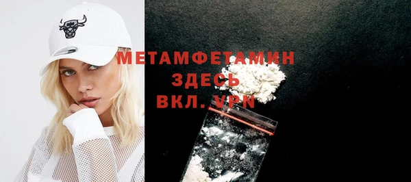 ГАЛЛЮЦИНОГЕННЫЕ ГРИБЫ Богданович