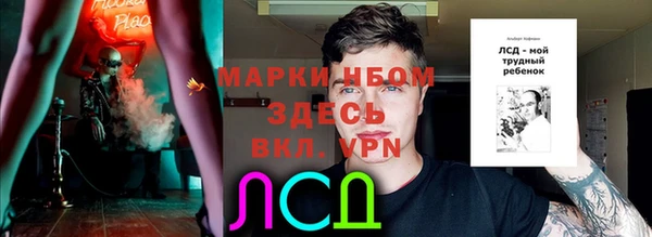 ГАЛЛЮЦИНОГЕННЫЕ ГРИБЫ Богданович