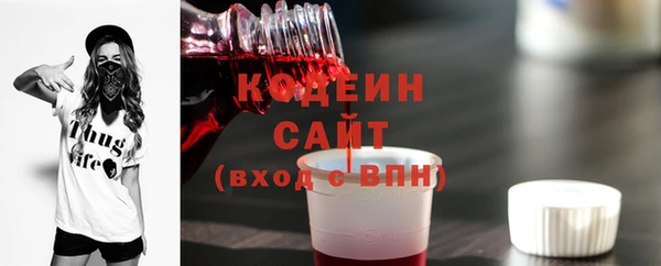 apvp Верея