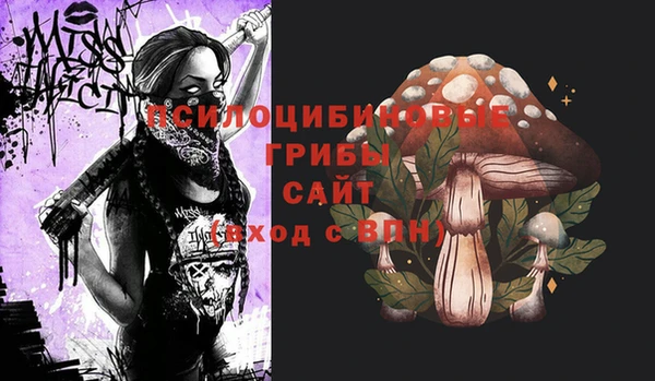 герыч Богородск