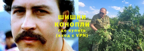 apvp Верея