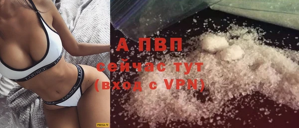 сатива Богородицк
