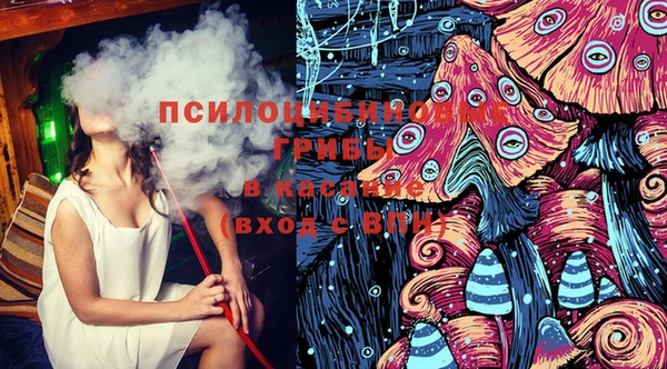 ГАЛЛЮЦИНОГЕННЫЕ ГРИБЫ Богданович