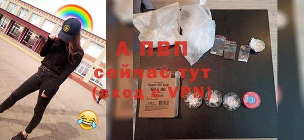 сатива Богородицк